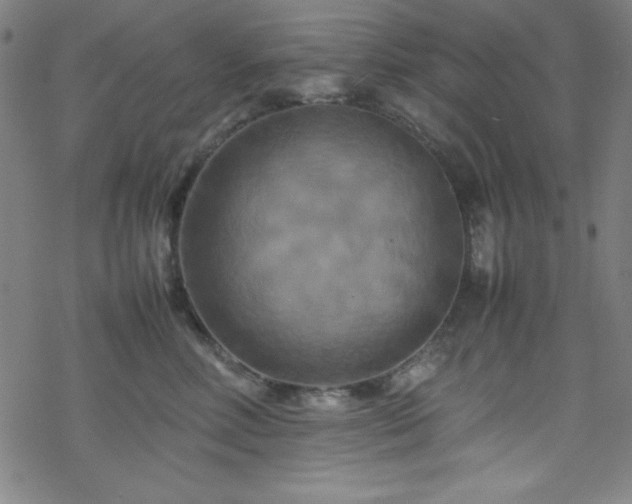 X0000070190618200606021059