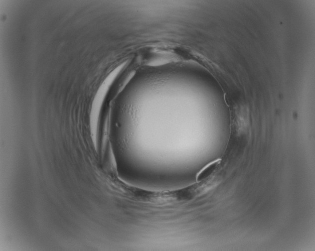 X0000070190619200606021059