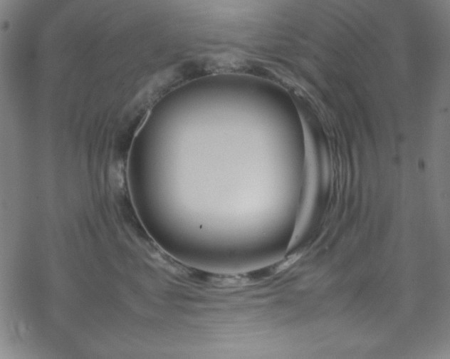 X0000070190621200606021059