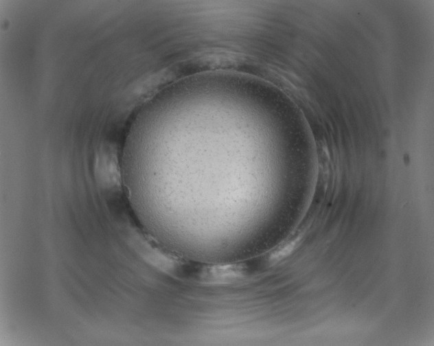 X0000070190622200606021059