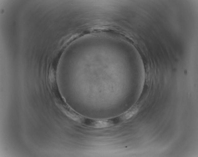 X0000070190623200606021059