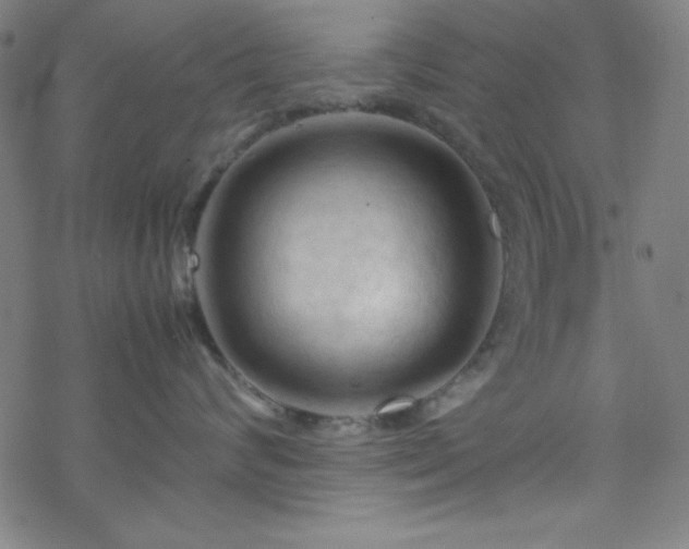 X0000070190624200606021059