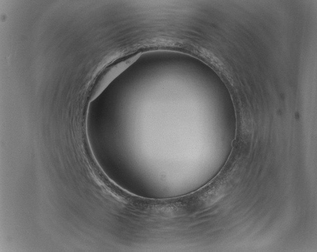 X0000070190625200606021058