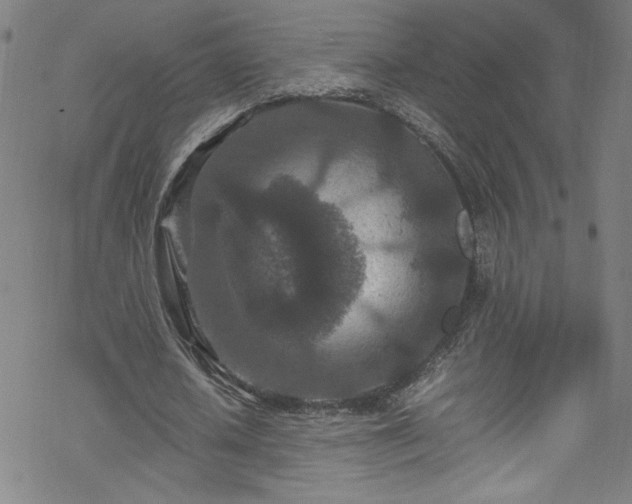 X0000070190626200606021058