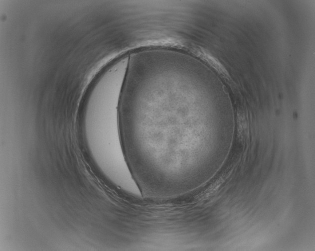 X0000070190628200606021058