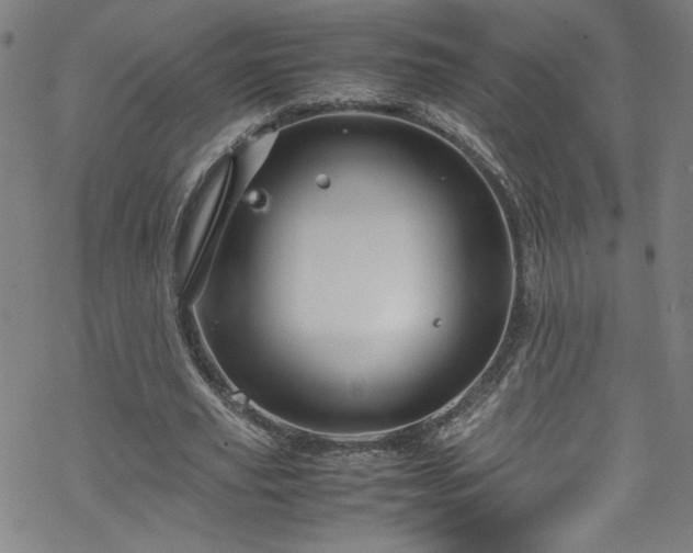 X0000070190629200606021058