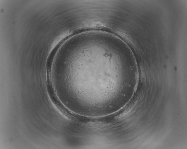 X0000070190630200606021058