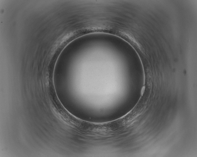 X0000070190631200606021058