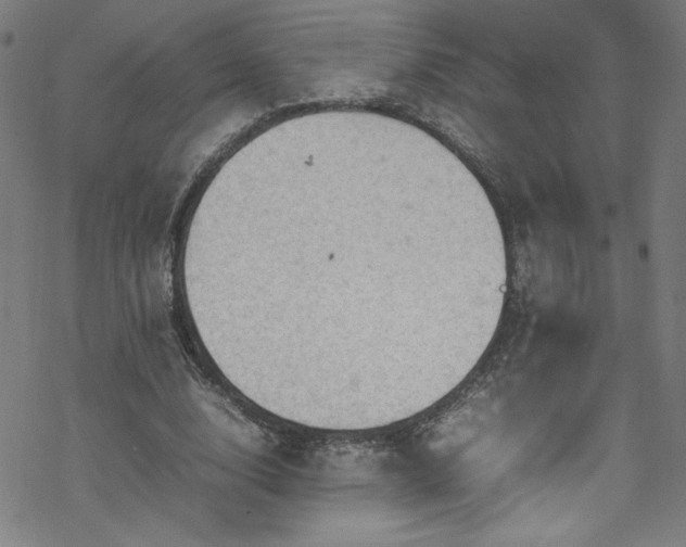 X0000070190632200606021058