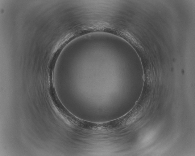 X0000070190634200606021058