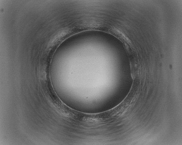 X0000070190635200606021058