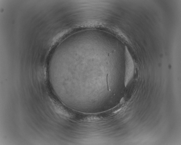 X0000070190636200606021058