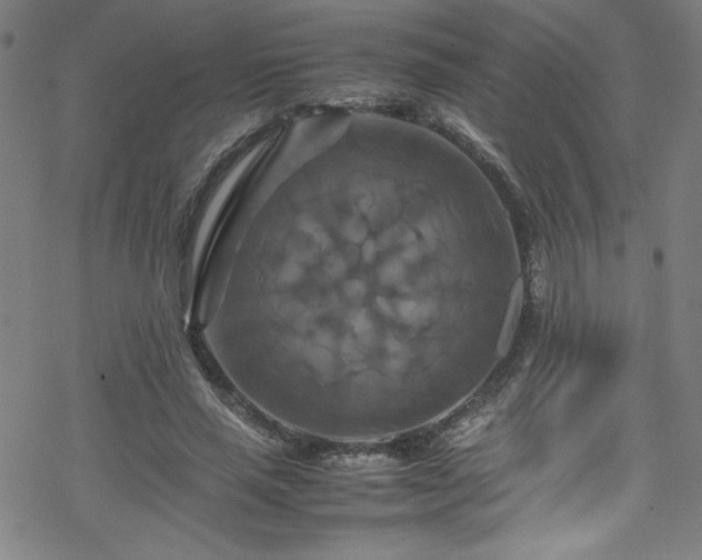 X0000070190637200606021058