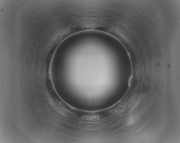 X0000070190639200606021058