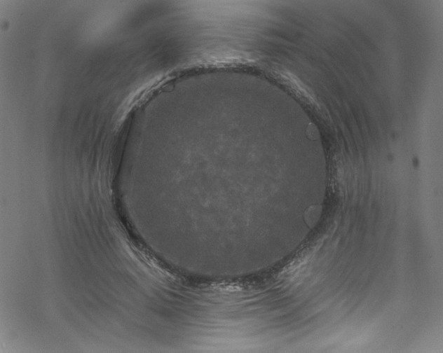 X0000070190640200606021058