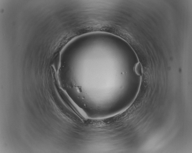 X0000070190642200606021058