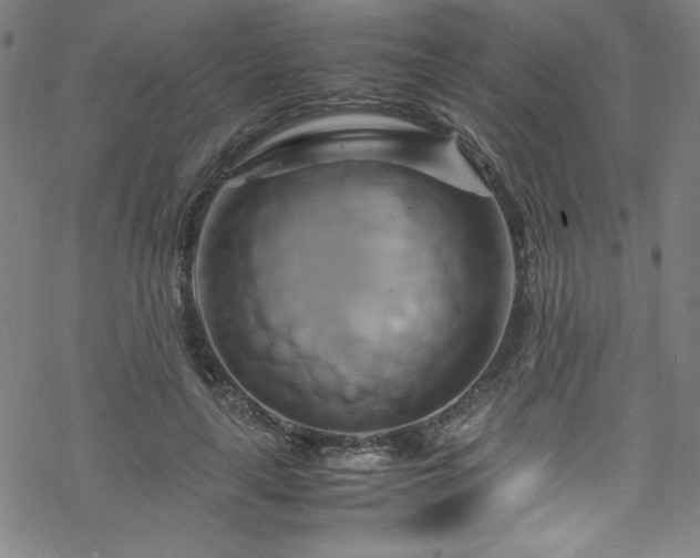 X0000070190643200606021058