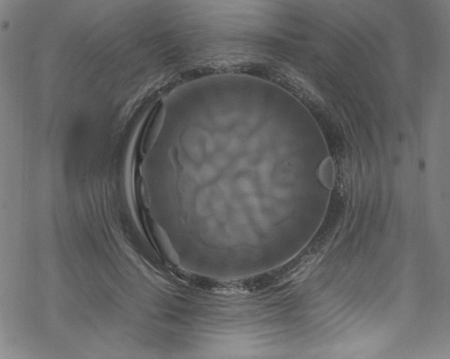 X0000070190644200606021058