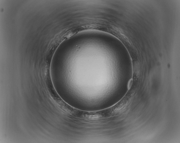 X0000070190645200606021058