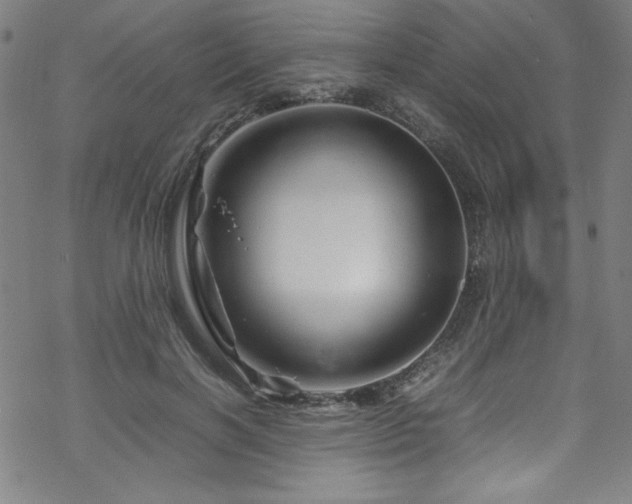 X0000070190646200606021058