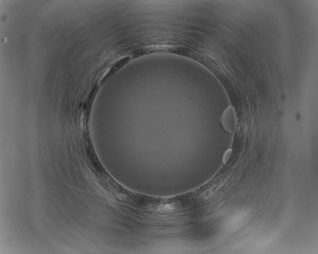 X0000070190647200606021058