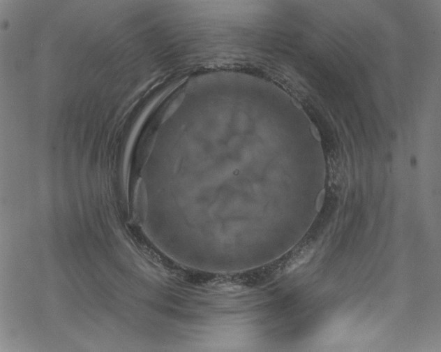 X0000070190648200606021058