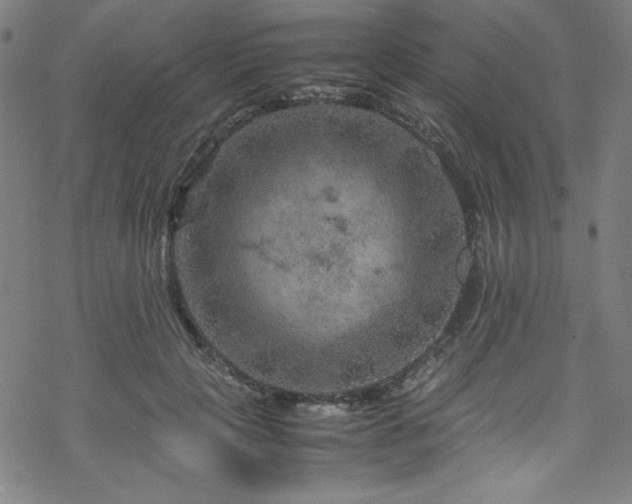 X0000070190649200606021058