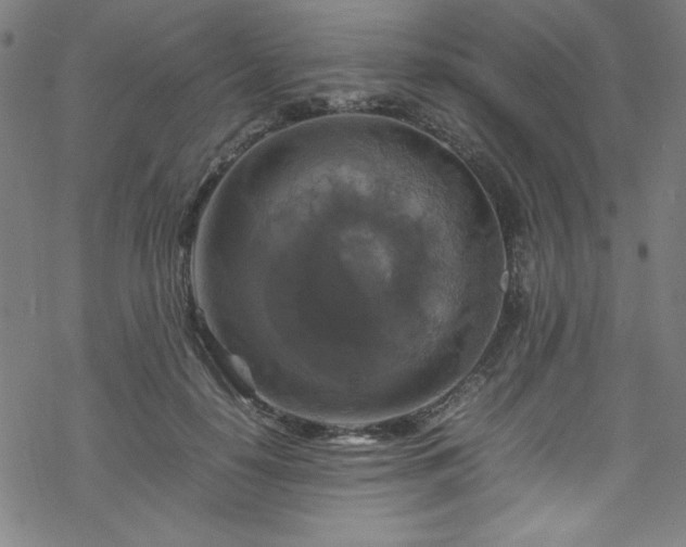 X0000070190650200606021058