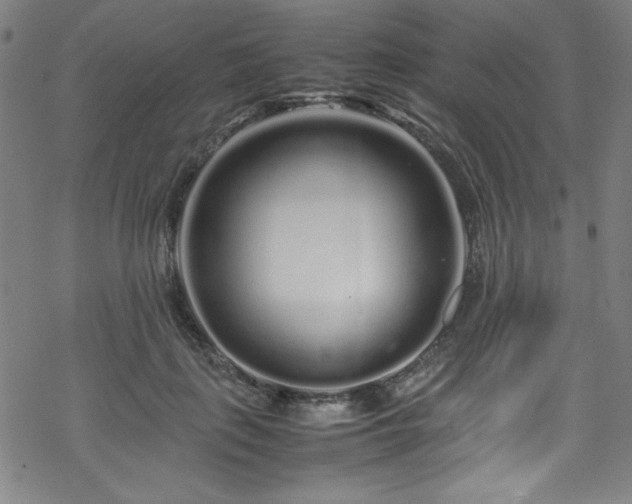 X0000070190651200606021058