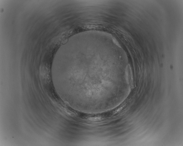 X0000070190653200606021058