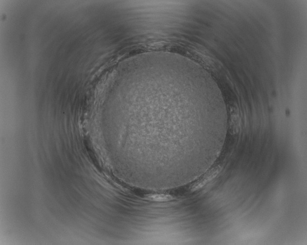 X0000070190654200606021058