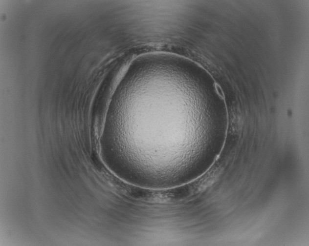 X0000070190656200606021058