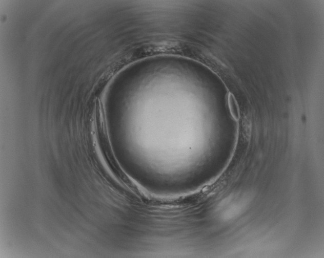 X0000070190657200606021058