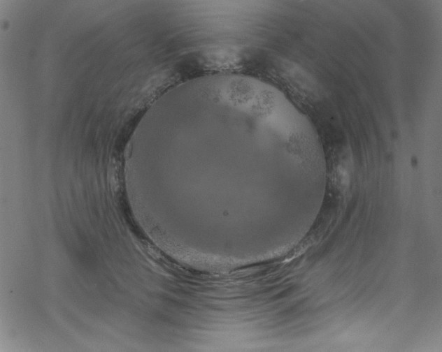 X0000070190658200606021058