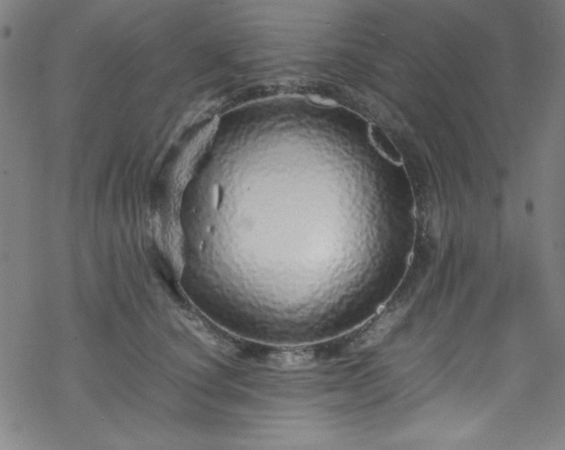 X0000070190660200606021058