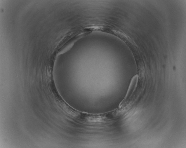 X0000070190661200606021058