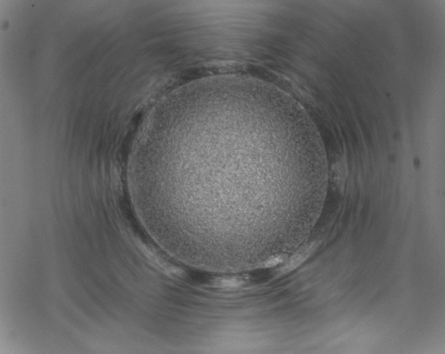 X0000070190662200606021058