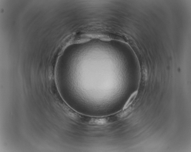 X0000070190665200606021058