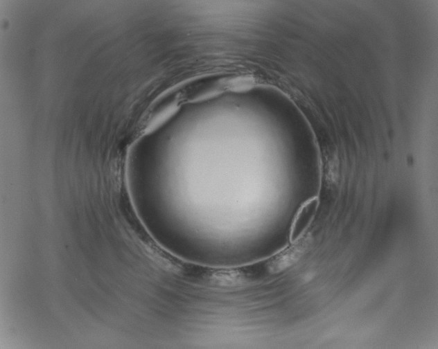 X0000070190666200606021058