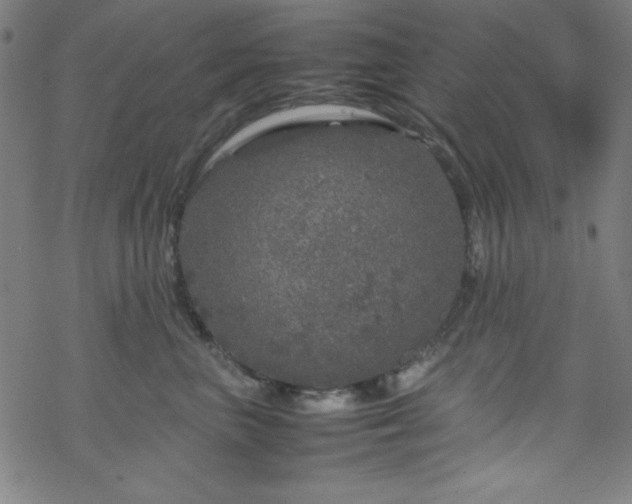 X0000070190667200606021058