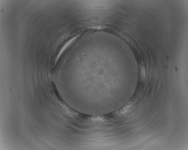 X0000070190668200606021059