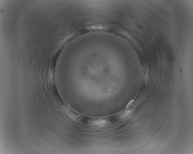 X0000070190669200606021059