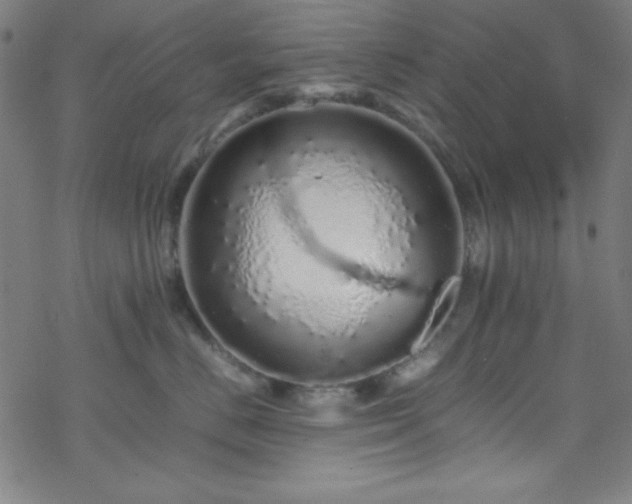 X0000070190670200606021059