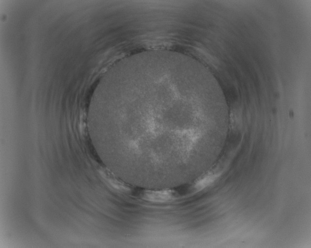 X0000070190671200606021059