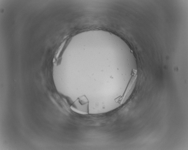 X0000070190672200606021059