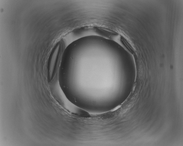 X0000070190673200606021058