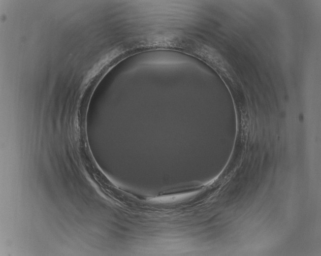 X0000070190674200606021058