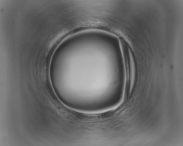 X0000070190675200606021058