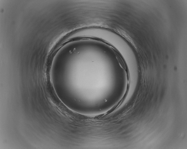 X0000070190676200606021058