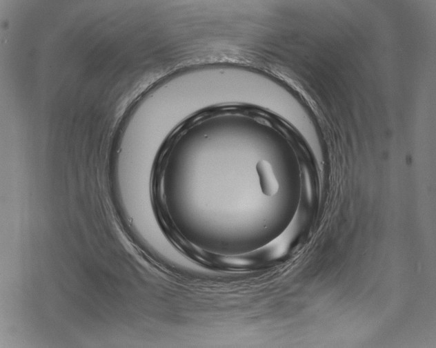 X0000070190677200606021058